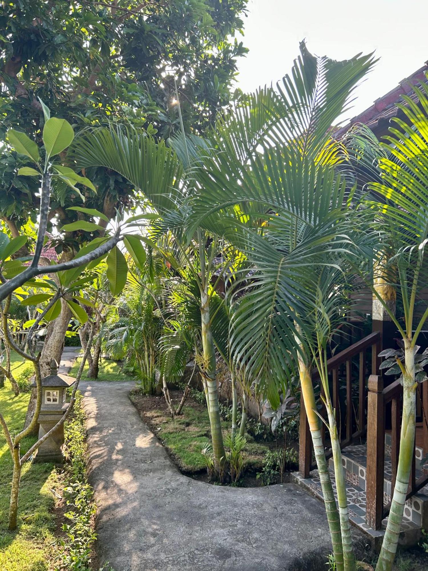 Bed and Breakfast Island Garden Huts Lembongan Exterior foto