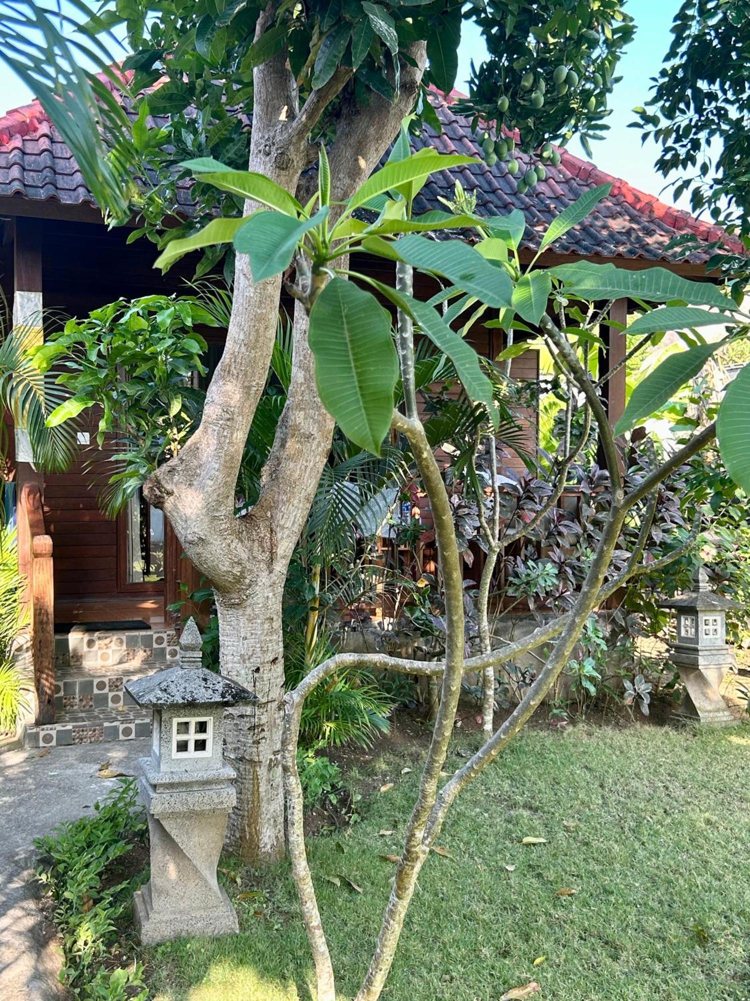 Bed and Breakfast Island Garden Huts Lembongan Exterior foto