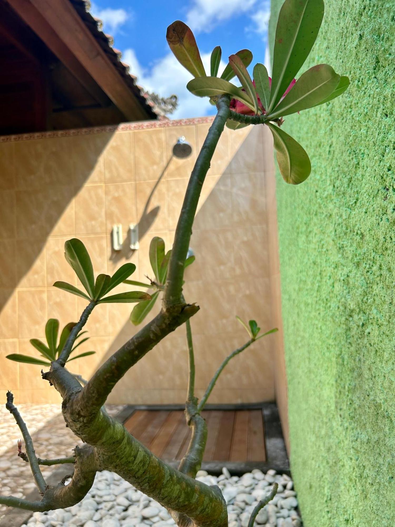 Bed and Breakfast Island Garden Huts Lembongan Exterior foto