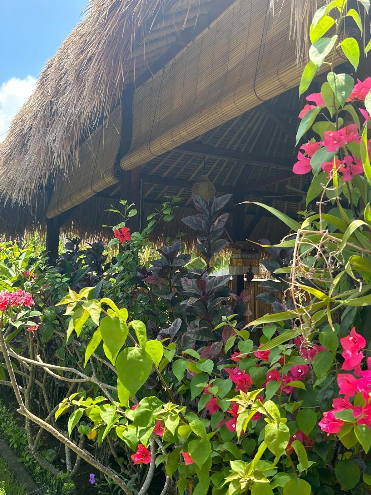 Bed and Breakfast Island Garden Huts Lembongan Exterior foto